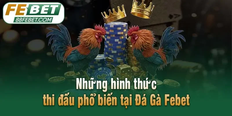 Những hình thức thi đấu phổ biến tại Đá Gà Febet
